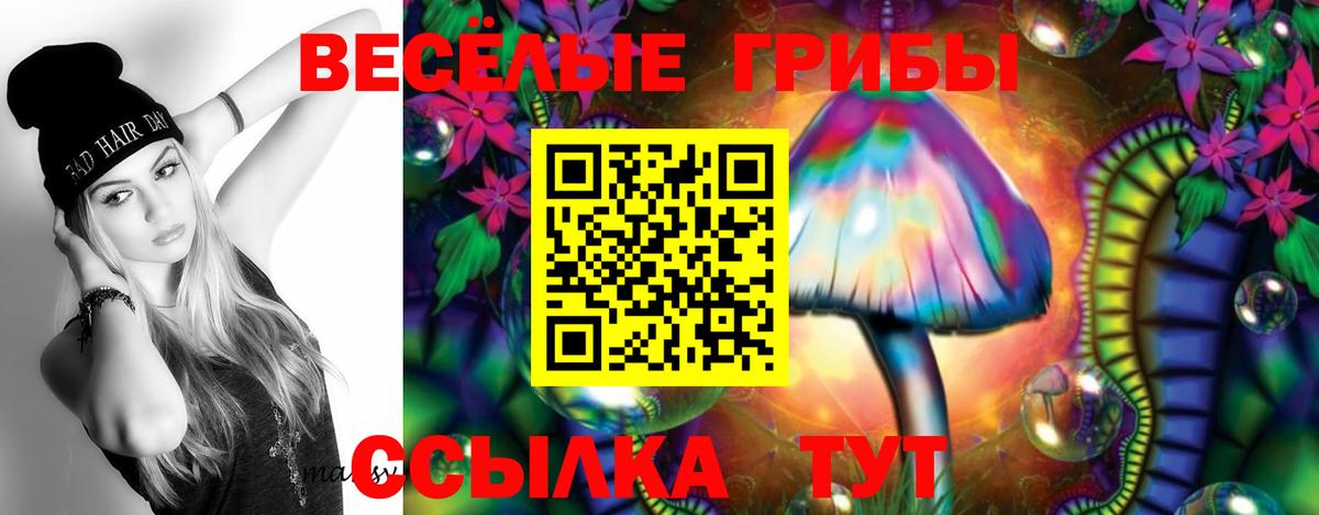Псилоцибиновые грибы прущие грибы Жуковский